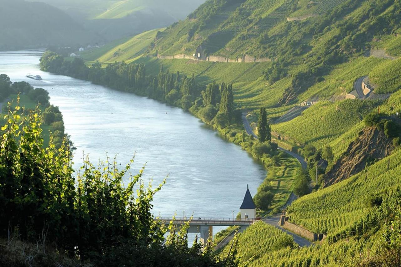 Weingut & Gaestehaus Christoph Cluesserath Trittenheim Buitenkant foto