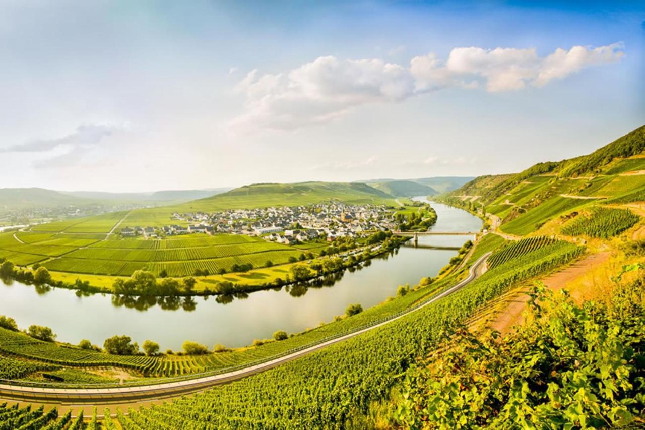 Weingut & Gaestehaus Christoph Cluesserath Trittenheim Buitenkant foto