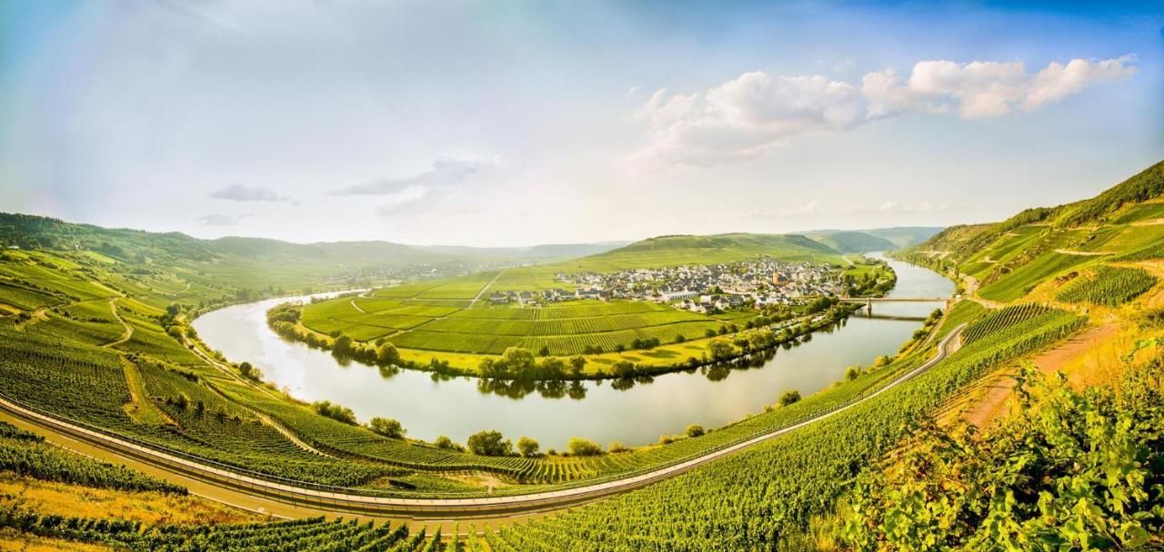 Weingut & Gaestehaus Christoph Cluesserath Trittenheim Buitenkant foto